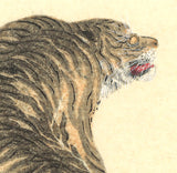Maruyama Okyo -  #5 Tiger  - Free Shipping