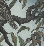 Yoshida Toshi - #017001 Fukuro (Two Owls) - Free Shipping
