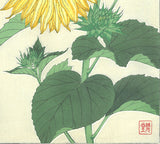 Kawarazaki Shodo - F87  Himawari (Sunflower) - Free Shipping