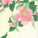 Kawarazaki Shodo - F53 Sazanka (Camellia) - Free Shipping