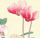 Tanigami Konan (1879~1928) -  Cyclamen - Free Shipping　　