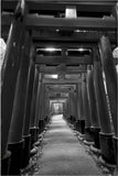 Kitamura  Shoichi - # KS2 Kyoto Senbon Torii  (Fushimi Inari)  First Edition 2021 - Free Shipping