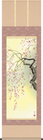 Sankoh Kakejiku - H29A6-09A Sakura - Free Shipping