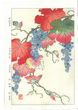 Osuga Yuichi - Yama Budo (Mountain grape) - Free Shipping