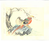 Imao Keinen - Koubai (Red Plum & Birds) - Free Shipping