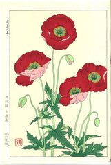 特別セーフ 1_0a115bc1-e9c0-44b8-913b- カーテン