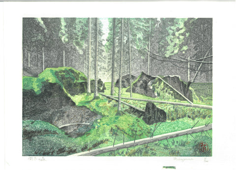 Mibugawa Junichi - Toboku no Mori  (Forest of fallen trees)  (倒木の森)  - Free Shipping