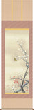 Sankoh Kakejiku - 41A2-052   Kohaku Ume ni Uguisu - Free Shipping