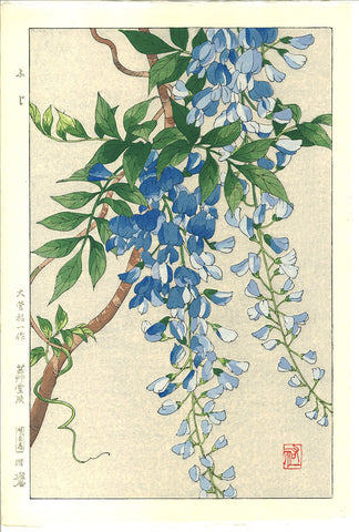 Osuga Yuichi - Fuji (Wisteria) - Free Shipping