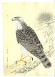 Fukuda Suiko - Taka (Hawk) - Free Shipping