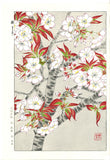 Kawarazaki Shodo - F021 Sakura (Cherry Blossoms) - Free Shipping