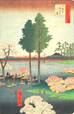 Utagawa Hiroshige - No.015 Suwa Bluff in Nippori  - One hundred Famous View of Edo - Free Shipping