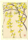 Kawarazaki Shodo - F95 Rengyo (Forsythia) - Free Shipping