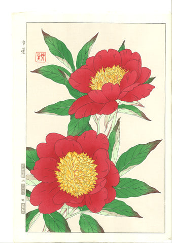 Kawarazaki Shodo - F12 Shakuyaku ( Peony) - Free Shipping