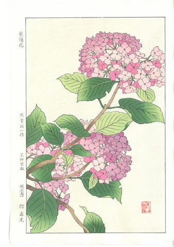 Osuga Yuichi - F178 Ajisai  (Hydrangea) - Free Shipping