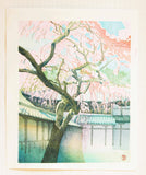 Mibugawa Junichi - Haru no iro  (Spring color)  (春の色)  - Free Shipping