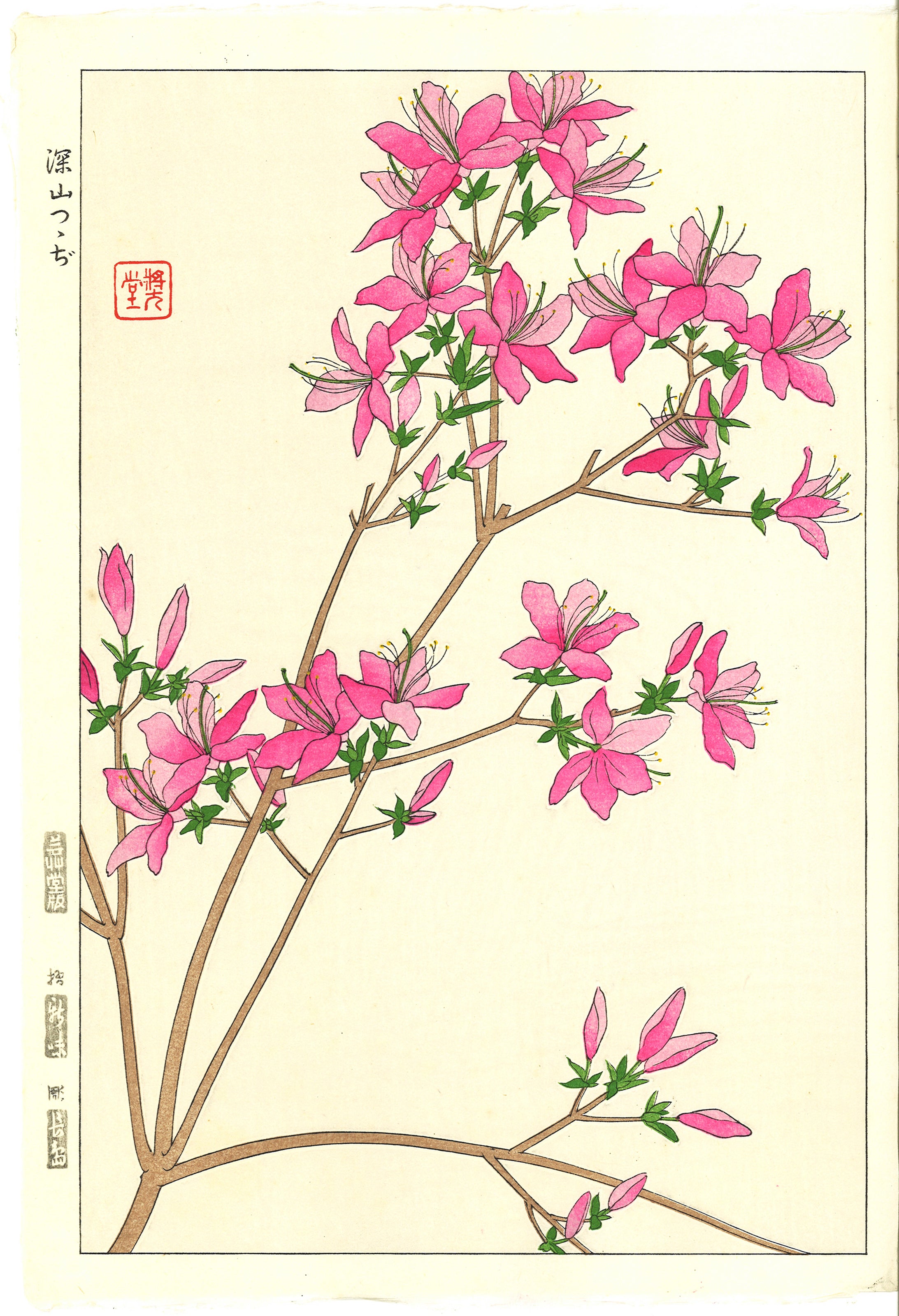 1_7c54af4f-a3c9-4260-b720-
