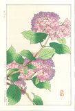 Osuga Yuichi - F178 Ajisai  (Hydrangea) - Free Shipping    Only 1 left!!