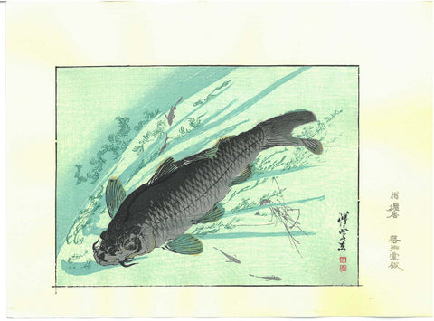 Kawanabe Kyosai - Kawazakana(Carp) - Free Shipping