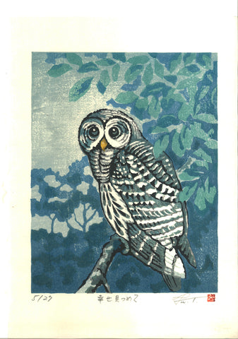 Takenaka Fu - Shiawase mitsumete (Staring at happiness) (Limited Edition 27)  - Free Shipping