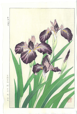 Peony / Botan Japanese Flower Pin – Shishido Creative