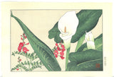 Tanigami Konan (1879~1928) -  Color lily - Free Shipping　　