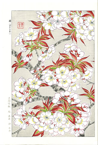 Kawarazaki Shodo - F020 Somei Yoshino (Cherry Blossoms) - Free Shipping