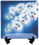 Saikosha - #004-03 Phalaenopsis orchid (Cloisonné ware ornamental plate) - Free Shipping