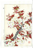 Kawarazaki Shodo - F016 Sakura (Cherry Blossoms) - Free Shipping