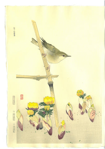 Fukuda Suiko - Uguisu & Fukujyuso - Free Shipping