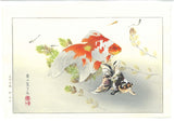 Tsuchiya Rakuzan - Kingyo ni Medaka (Goldfish with Medaka) - Free Shipping　