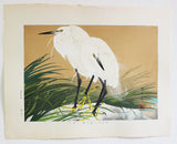 Tsuchiya Rakuzan - Hanasekishow ni Minoshirasagi - Free Shipping　