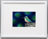 Saikosha - #011-06  Kawasemi (Kingfisher)  (Framed Cloisonné ware) - Free Shipping