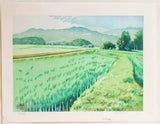 Mibugawa Junichi - Haru ta Kaze (Spring breeze rice field)  (春田風)  - Free Shipping