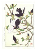 Kawarazaki Shodo - F077  Mokuren (Magnolia) - Free Shipping