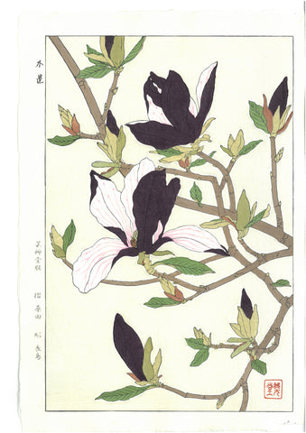 Kawarazaki Shodo - F077  Mokuren (Magnolia) - Free Shipping