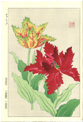 Kawarazaki Shodo - F74  Fringed Tulip - Free Shipping