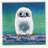 Saikosha - #011-01  Fukuro (Owl)  (Framed Cloisonné ware) - Free Shipping