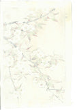 Kawarazaki Shodo - F017 Sakura (Wild cherry) - Free Shipping