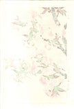 Kawarazaki Shodo - F018 Yae Zakura (Sakura) - (Double Cherry) - Free Shipping