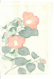 Kawarazaki Shodo - F50 Tsubaki (Japanese Camellia)  - Free Shipping