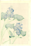 Kawarazaki Shodo - F125 Mizuaoi (Water hyacinth)  - Free Shipping