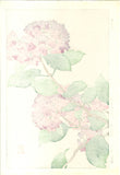 Osuga Yuichi - F178 Ajisai  (Hydrangea) - Free Shipping    Only 1 left!!