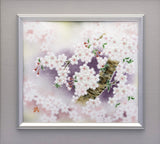 Saikosha - #014-07 Sakura (Framed Cloisonné ware) - Free Shipping