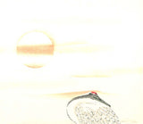 Maruyama Okyo - Hinode Zuru (Crane & Sun Rise)  - Free Shipping