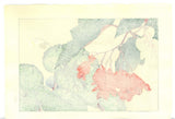 Tanigami Konan (1879~1928) -  Begonia - Free Shipping　　
