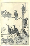 Kasamatsu Shiro - SK37 Umiu no Mure  (Flock of Temminck's cormorant) - Free Shipping