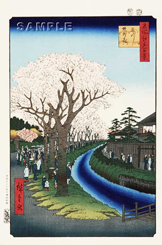 Utagawa Hiroshige - No.042 Cherry Blossoms on the Banks of the Tama River - Free Shipping