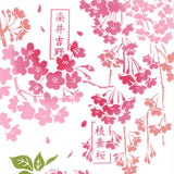 Kenema  - Sakura Zuhan  桜図鑑 (The dyed Tenugui)