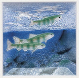 Saikosha - #011-10  Summer Fish   (Framed Cloisonné ware) - Free Shipping